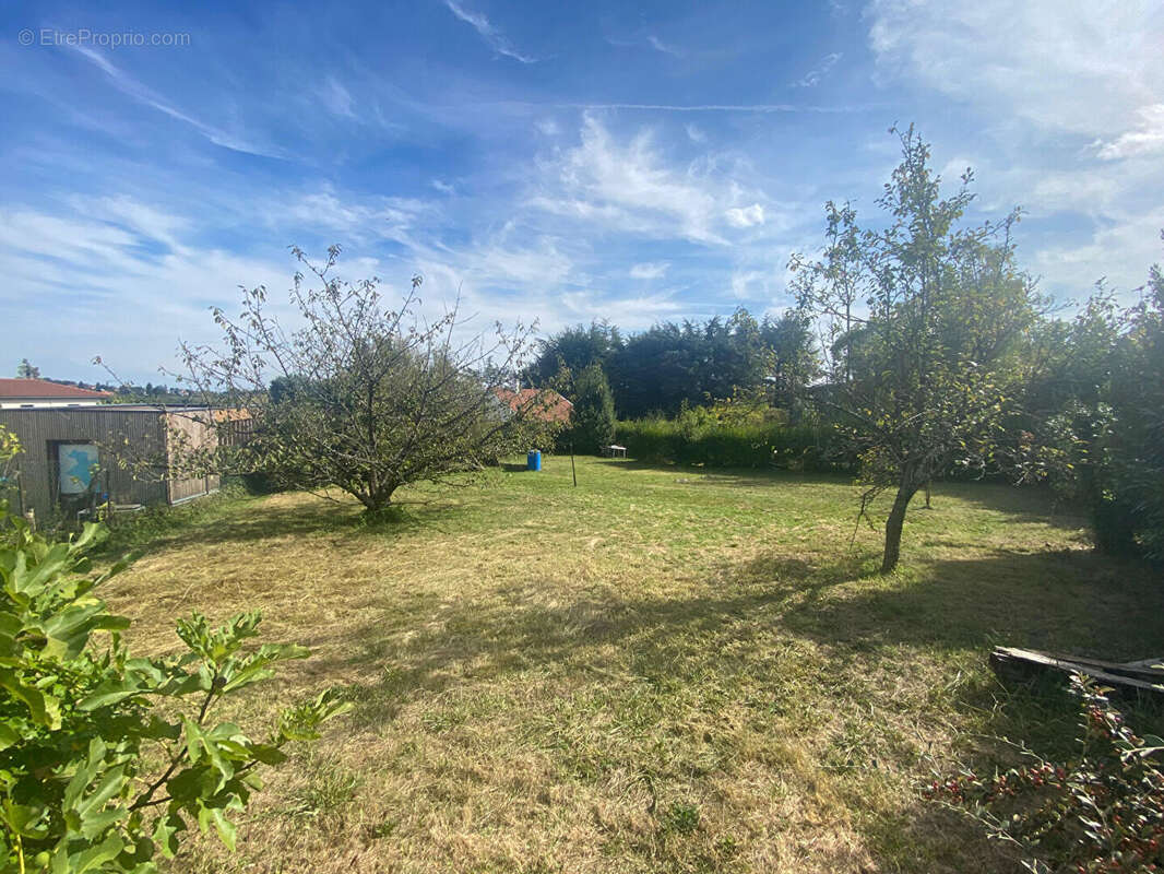 Terrain à LA TOUR-DE-SALVAGNY