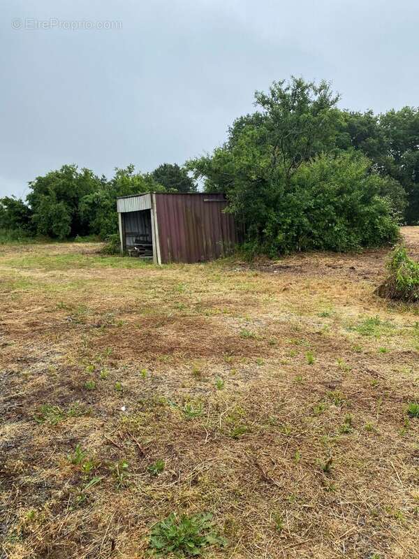 Maison à SAINT-URBAIN