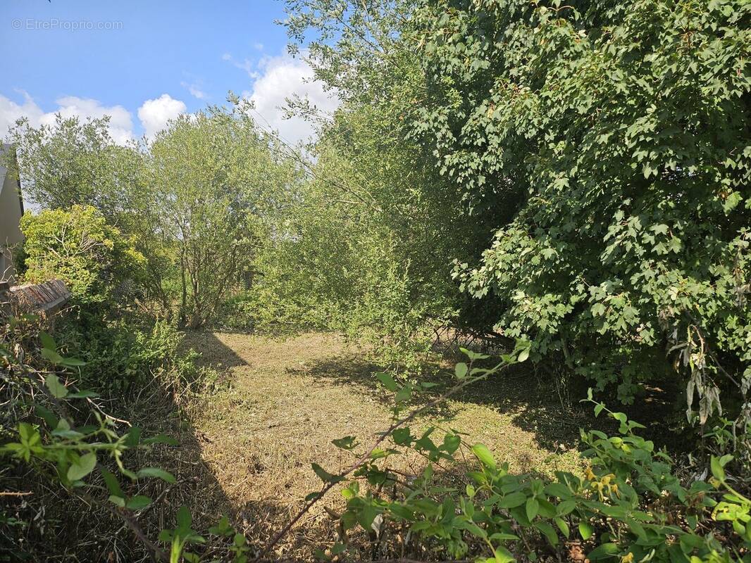 Terrain à LA RIVIERE-SAINT-SAUVEUR