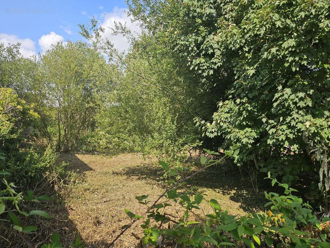 Terrain à LA RIVIERE-SAINT-SAUVEUR