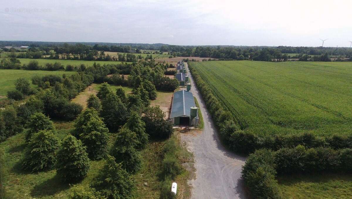 Maison à BRICQUEVILLE