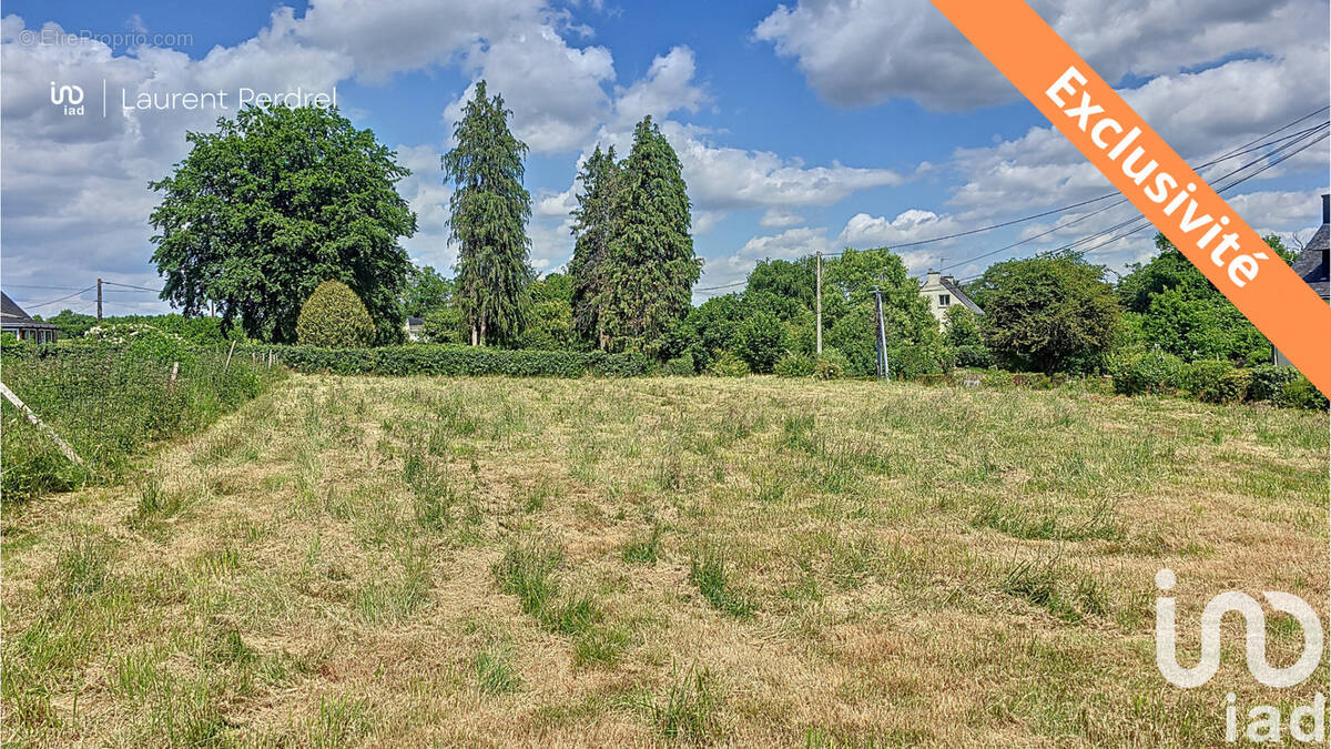 Photo 1 - Terrain à ALLAIRE