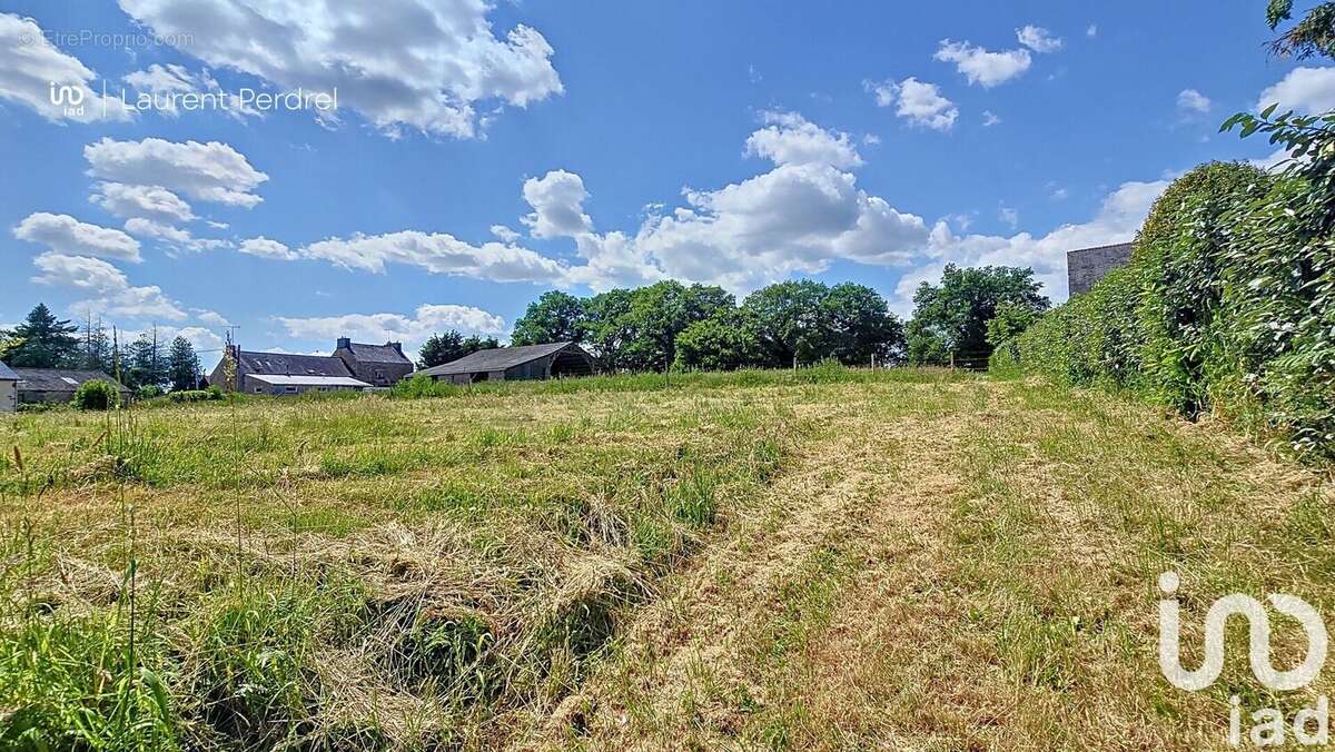 Photo 5 - Terrain à ALLAIRE