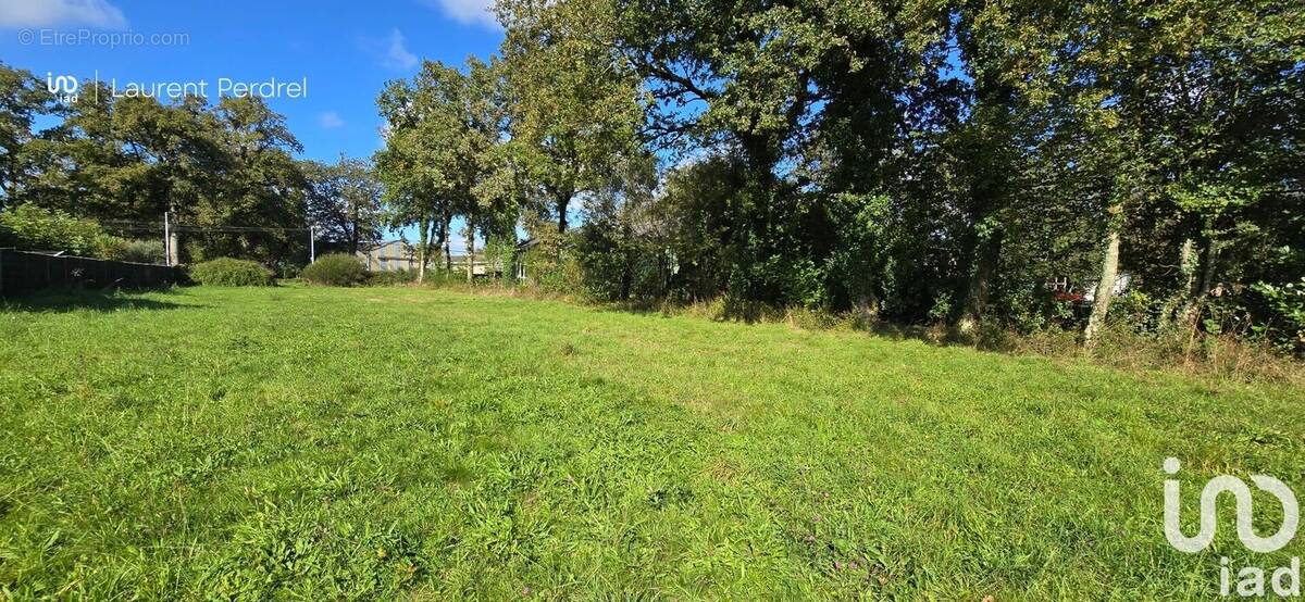 Photo 1 - Terrain à ALLAIRE