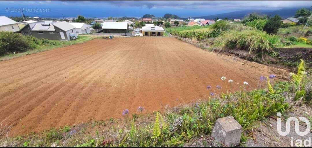 Photo 1 - Terrain à SAINT-PIERRE