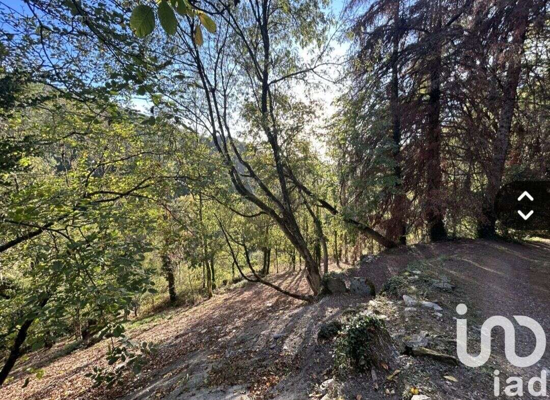 Photo 6 - Maison à LACAZE