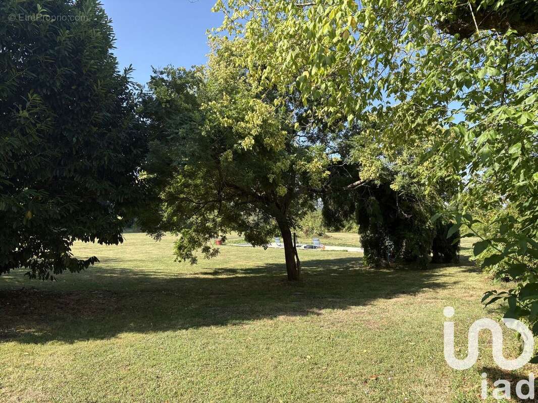 Photo 3 - Maison à SAINT-PEY-DE-CASTETS