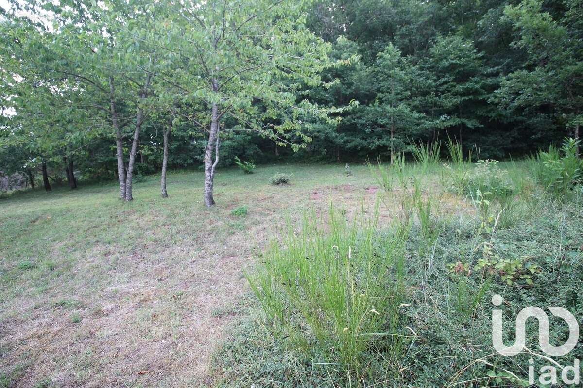 Photo 3 - Terrain à MONTJAUX