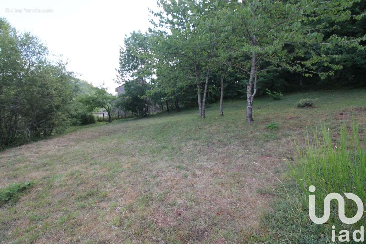 Photo 4 - Terrain à MONTJAUX