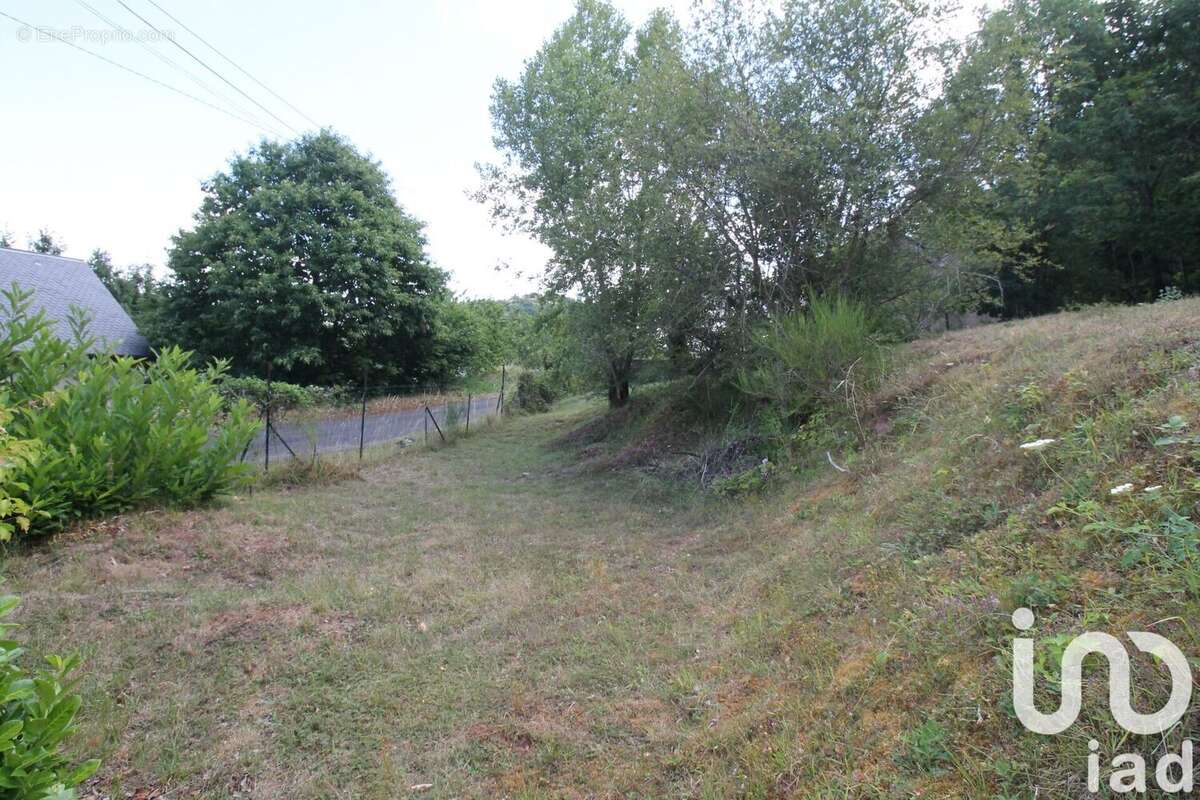 Photo 6 - Terrain à MONTJAUX