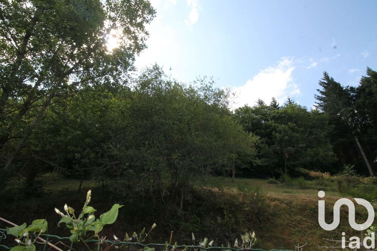 Photo 7 - Terrain à MONTJAUX