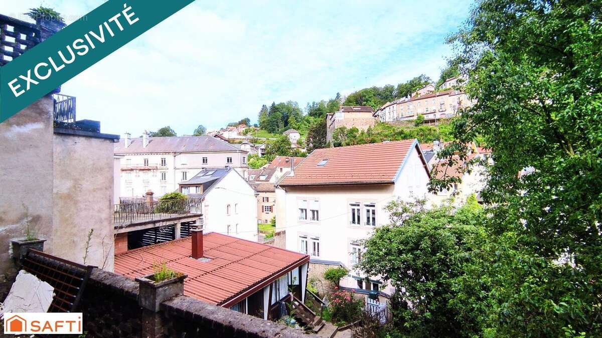 Photo 4 - Commerce à PLOMBIERES-LES-BAINS