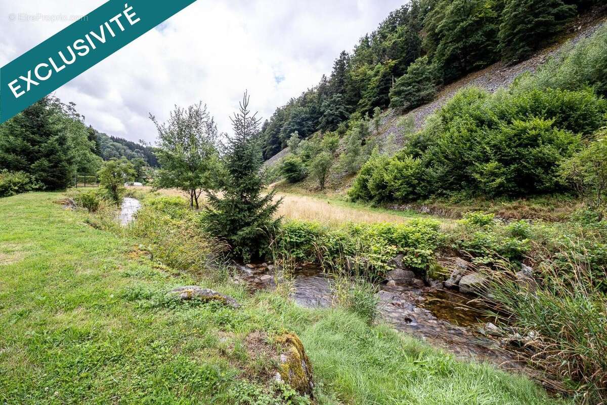 Photo 5 - Maison à WILDENSTEIN