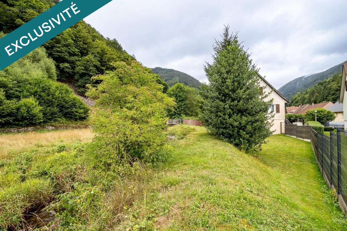 Photo 6 - Maison à WILDENSTEIN