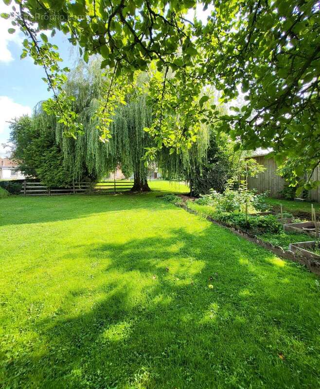 Photo 4 - Maison à AMPLIER