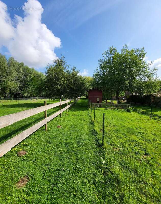 Photo 5 - Maison à AMPLIER