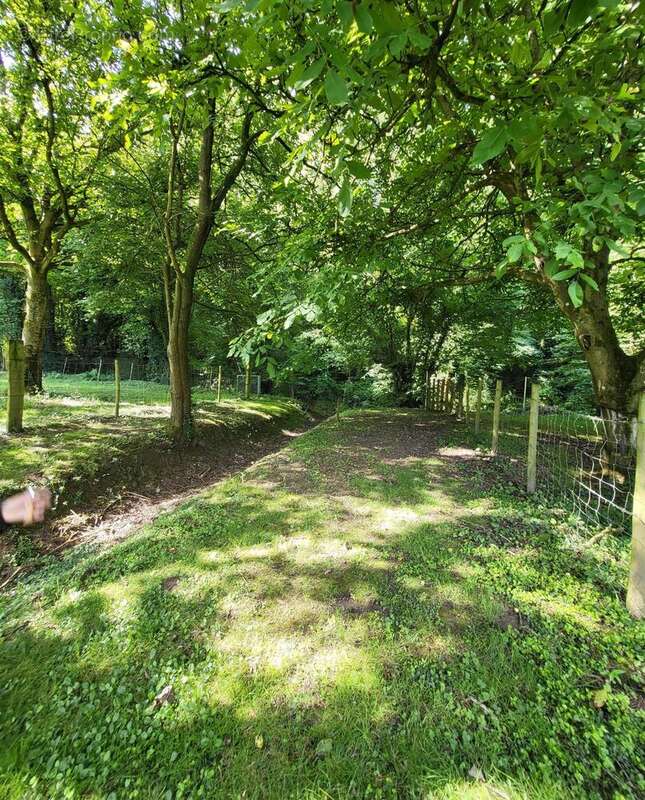 Photo 6 - Maison à AMPLIER