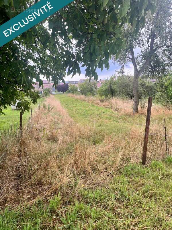 Photo 2 - Terrain à ARRACOURT