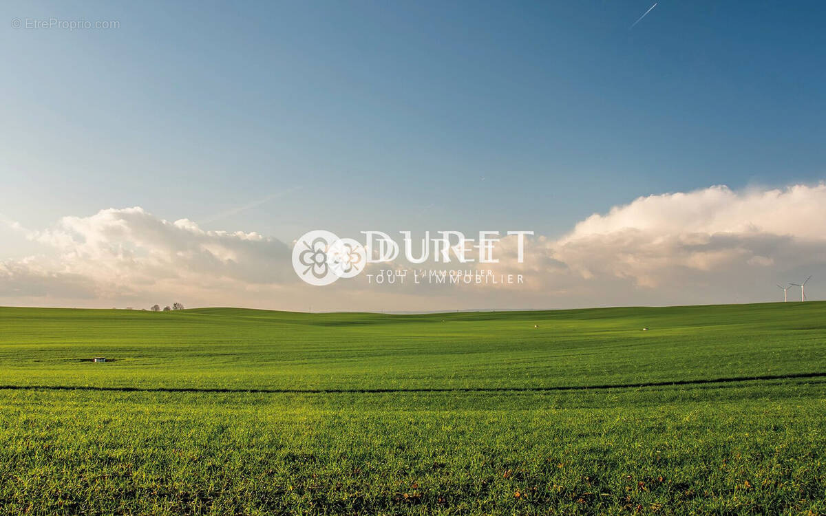 Terrain à MENOMBLET