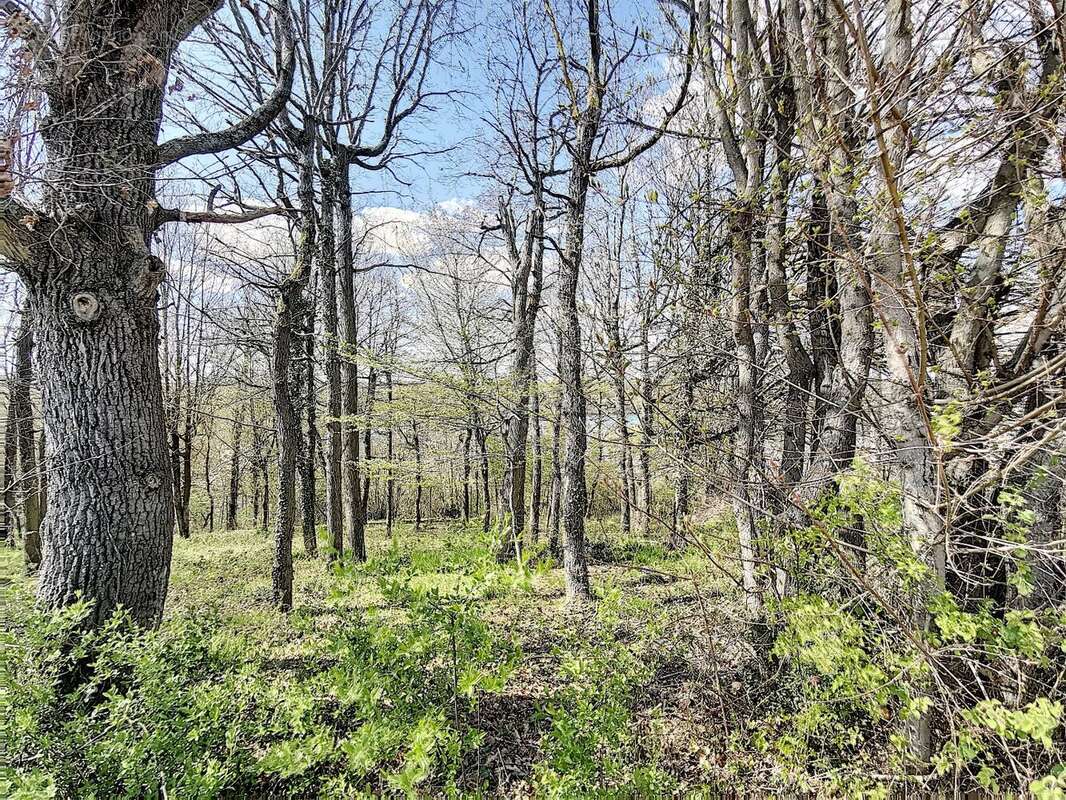 Terrain à FONTENAY-SUR-LOING