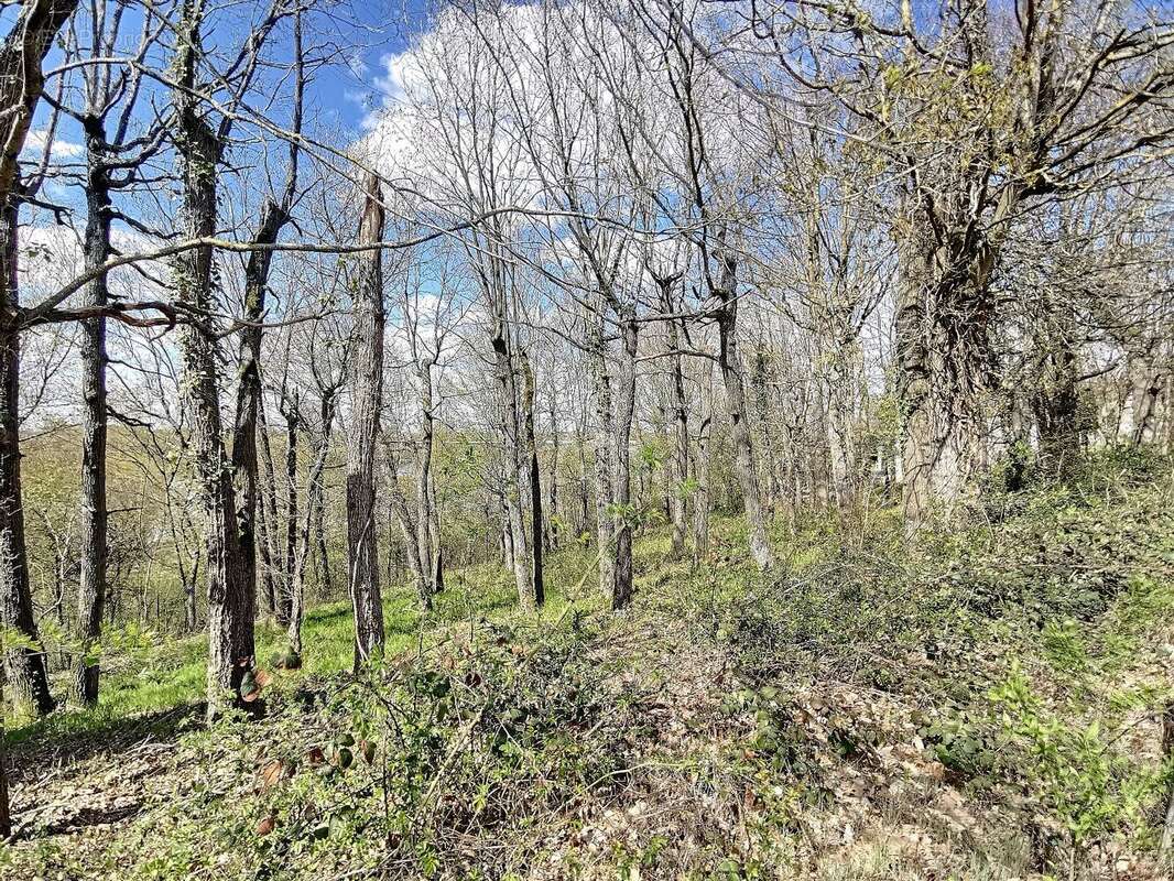 Terrain à FONTENAY-SUR-LOING