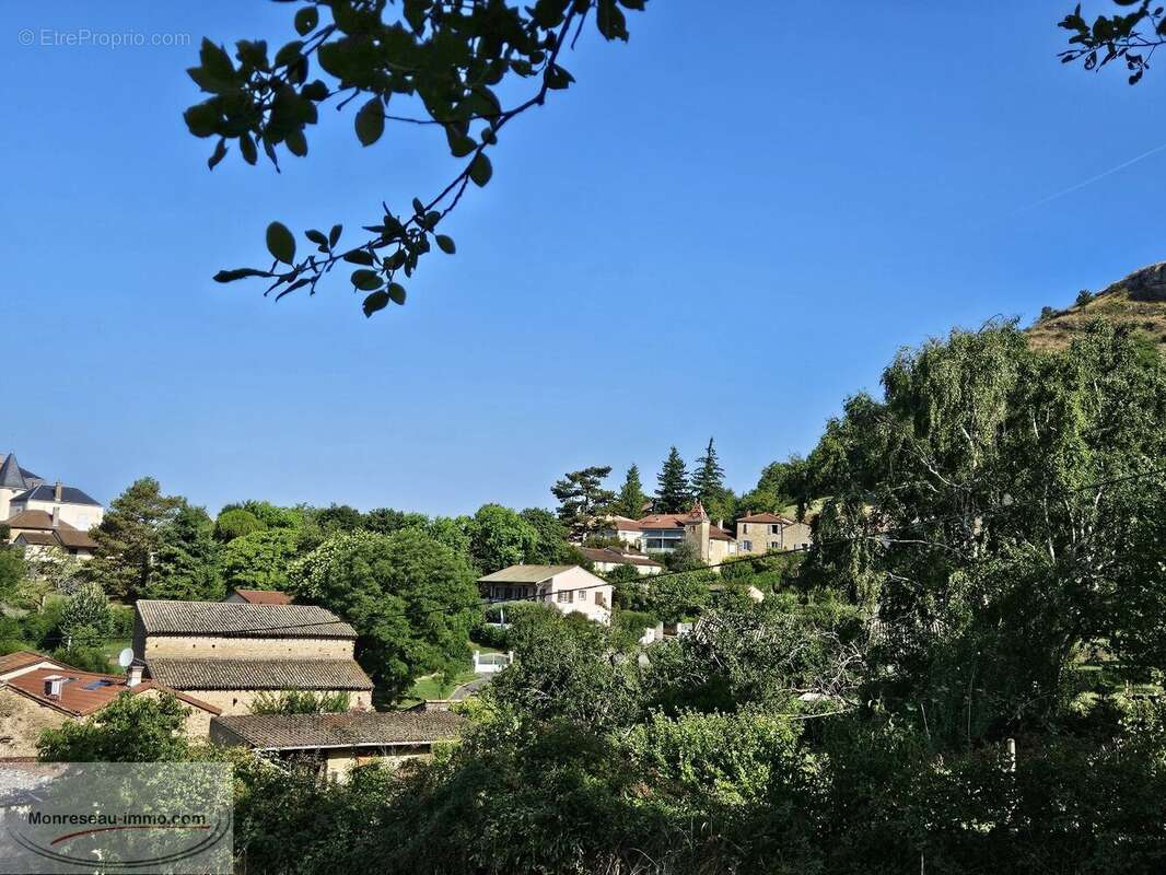 Terrain à BERZE-LA-VILLE