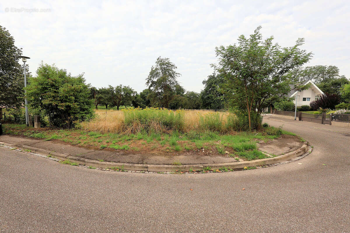 Terrain à HEGENHEIM