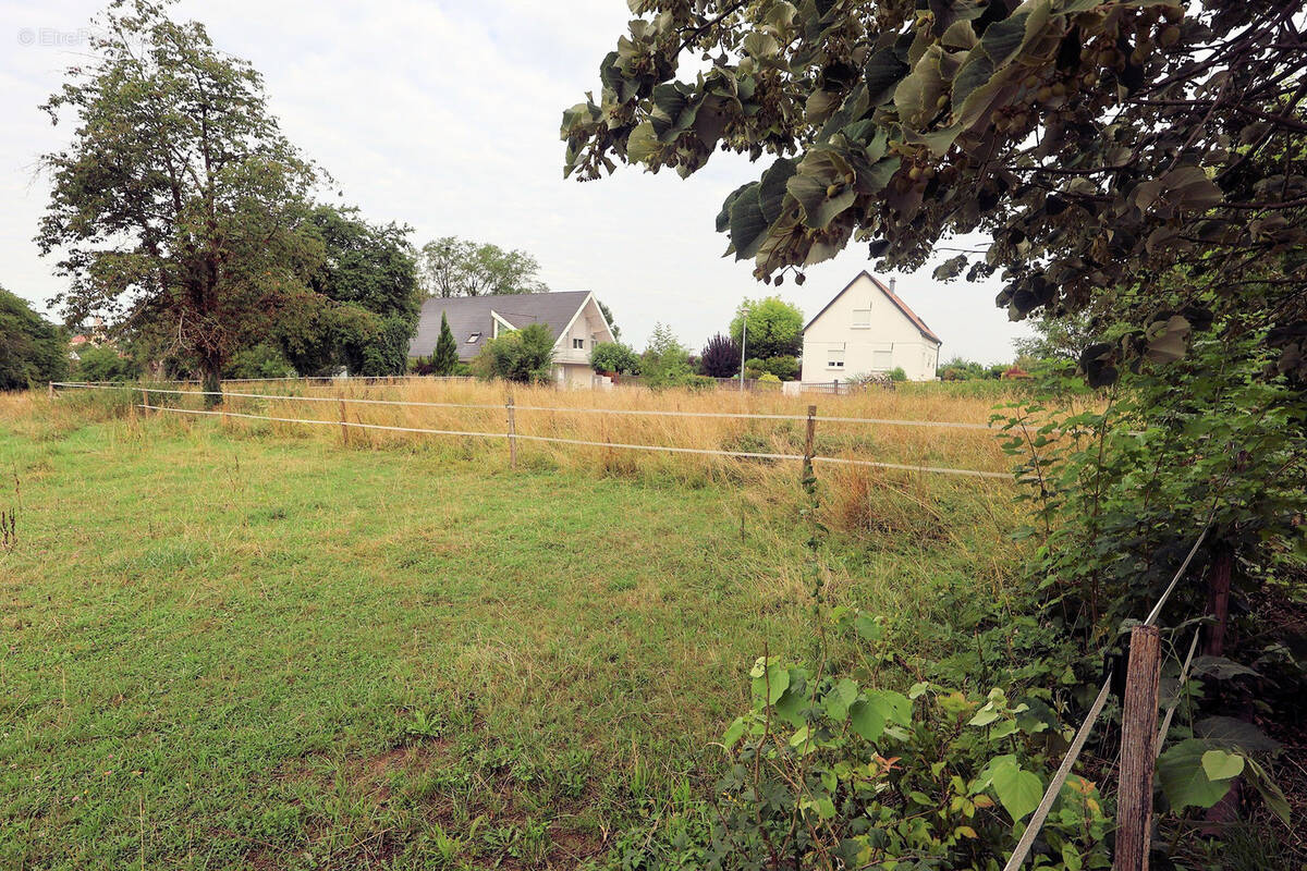 Terrain à HEGENHEIM