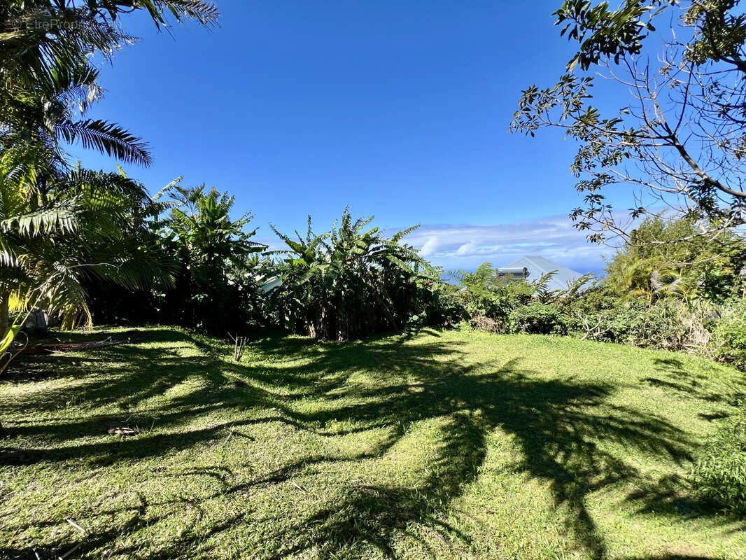 Terrain à PETITE-ILE