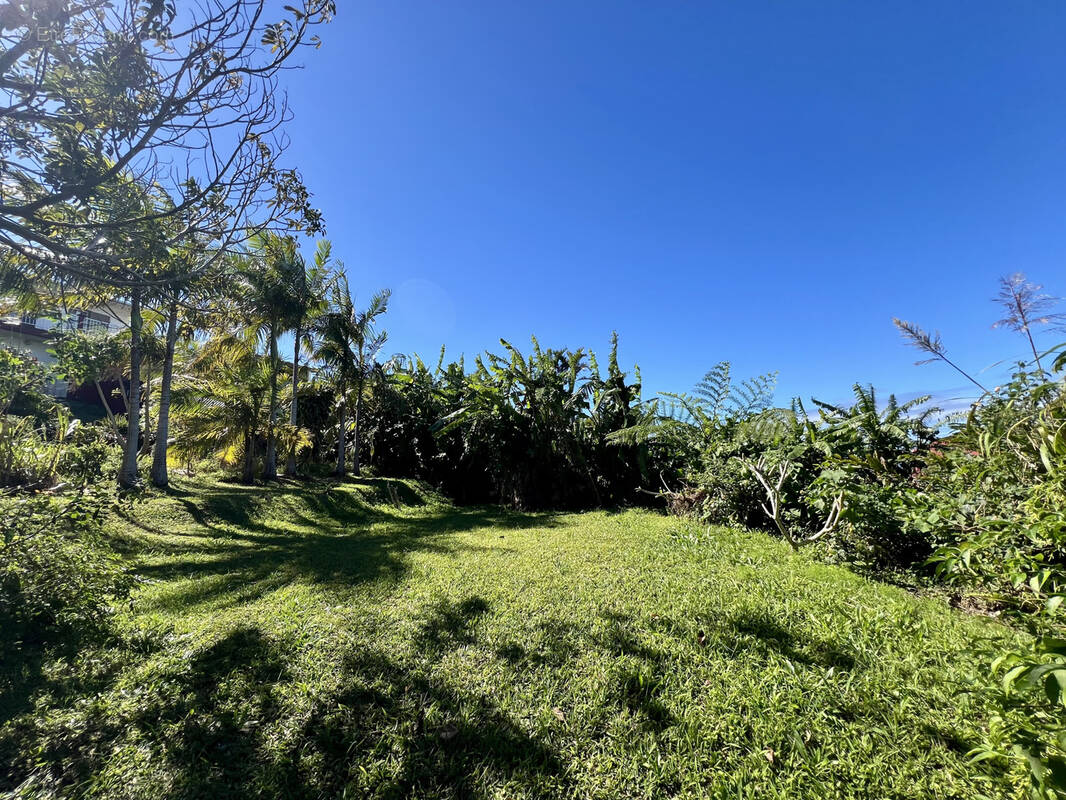 Terrain à PETITE-ILE