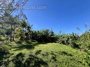 Terrain à PETITE-ILE