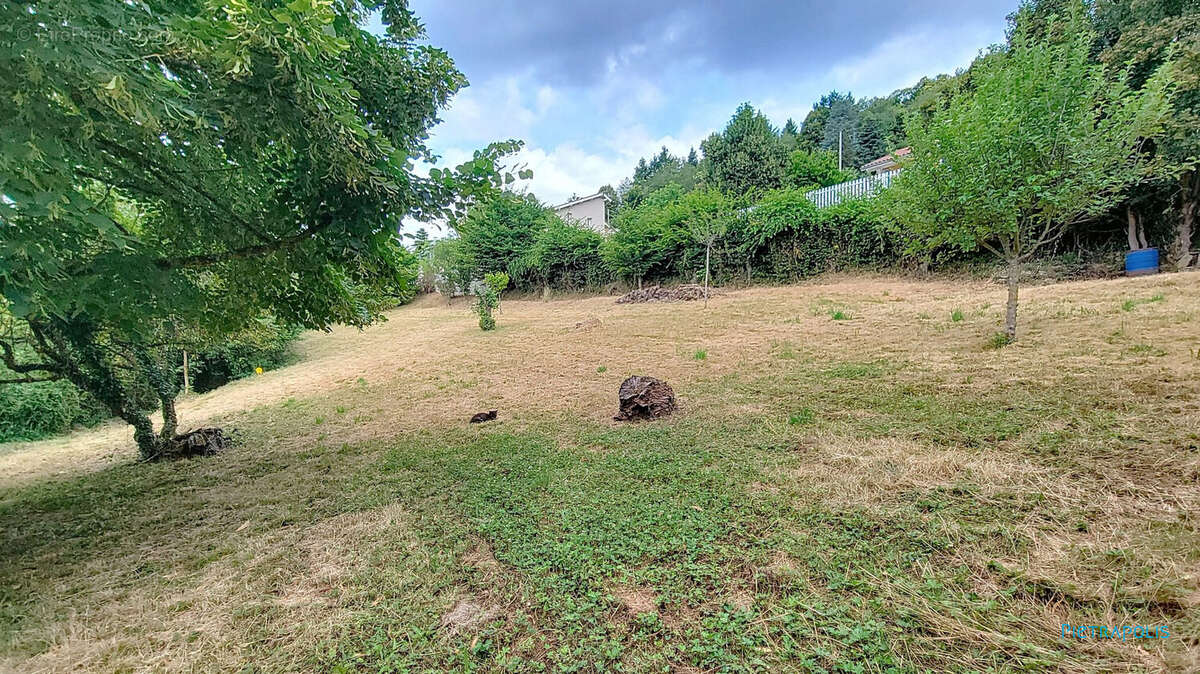 Terrain à POMMIER-DE-BEAUREPAIRE