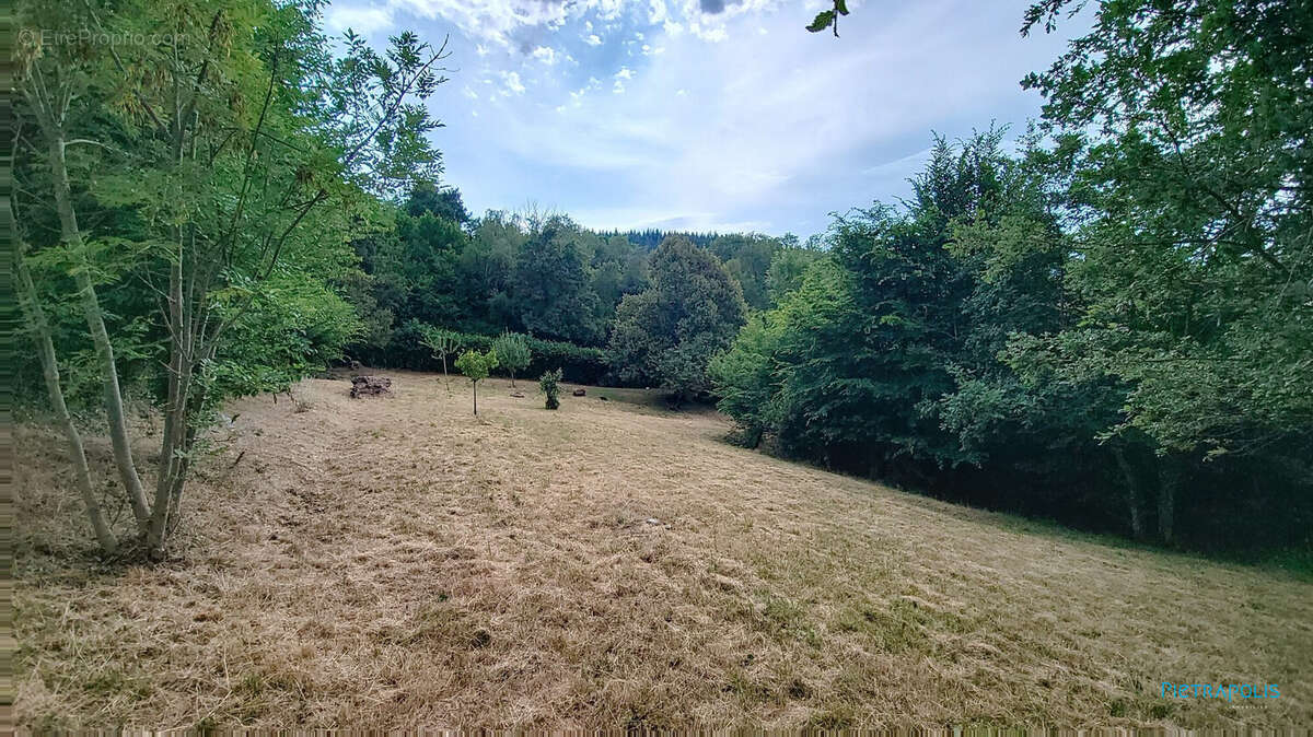 Terrain à POMMIER-DE-BEAUREPAIRE