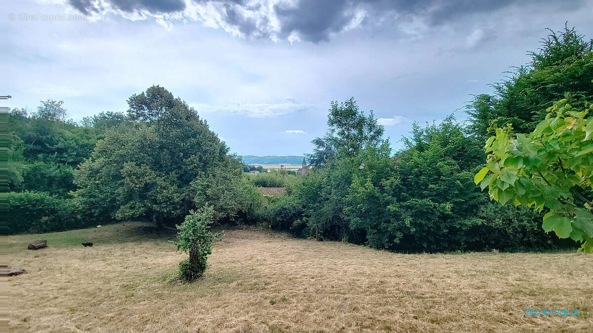 Terrain à POMMIER-DE-BEAUREPAIRE