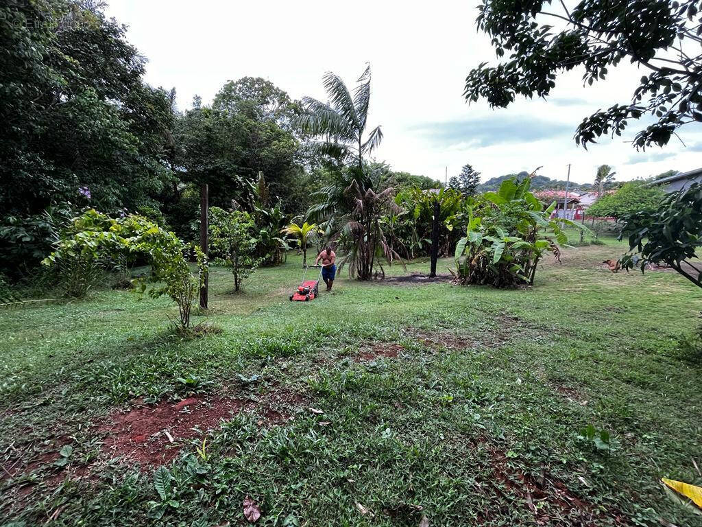 Terrain à REMIRE-MONTJOLY