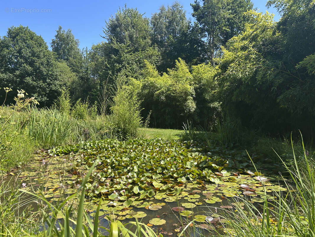 Maison à LA POTERIE-AU-PERCHE