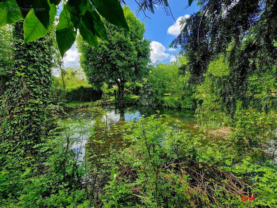 Maison à SAINT-HILAIRE-LES-ANDRESIS