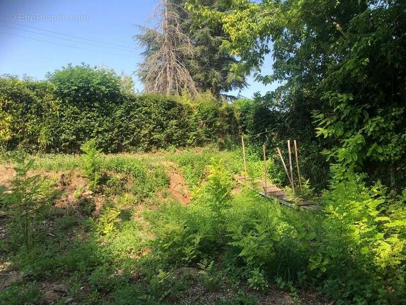 Terrain à SAINT-FRONT-DE-PRADOUX