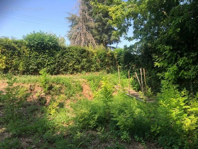 Terrain à SAINT-FRONT-DE-PRADOUX