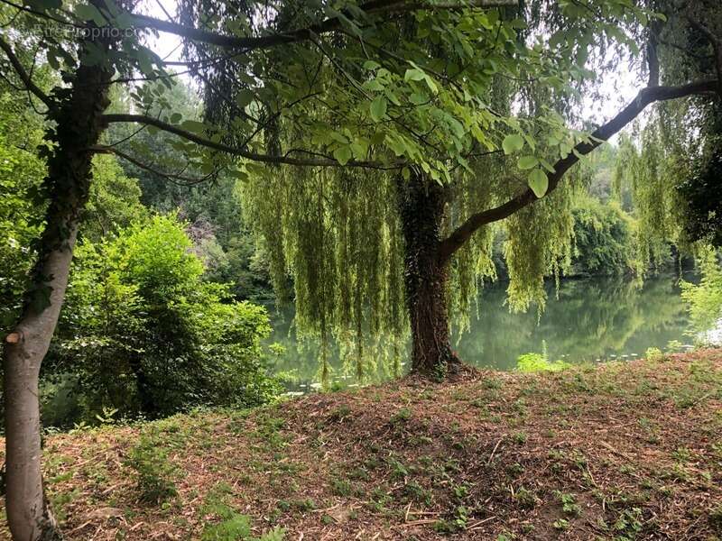 Terrain à SAINT-FRONT-DE-PRADOUX