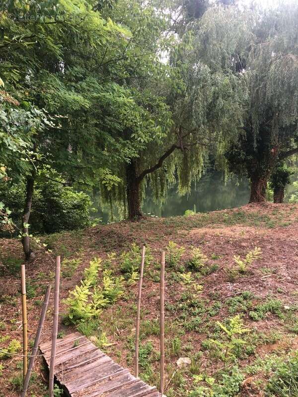 Terrain à SAINT-FRONT-DE-PRADOUX