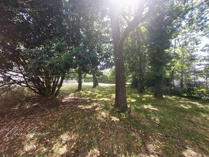 Terrain à L&#039;ISLE-JOURDAIN