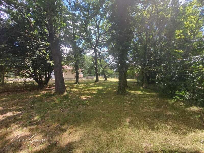 Terrain à L&#039;ISLE-JOURDAIN