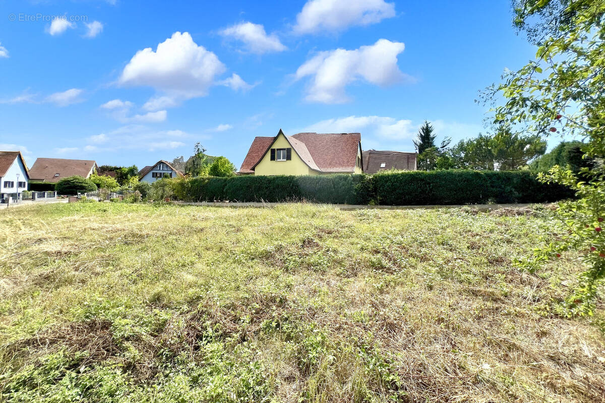 Terrain à MOLSHEIM