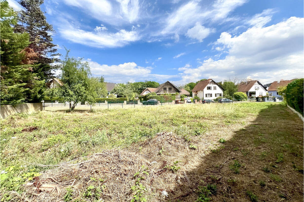 Terrain à MOLSHEIM