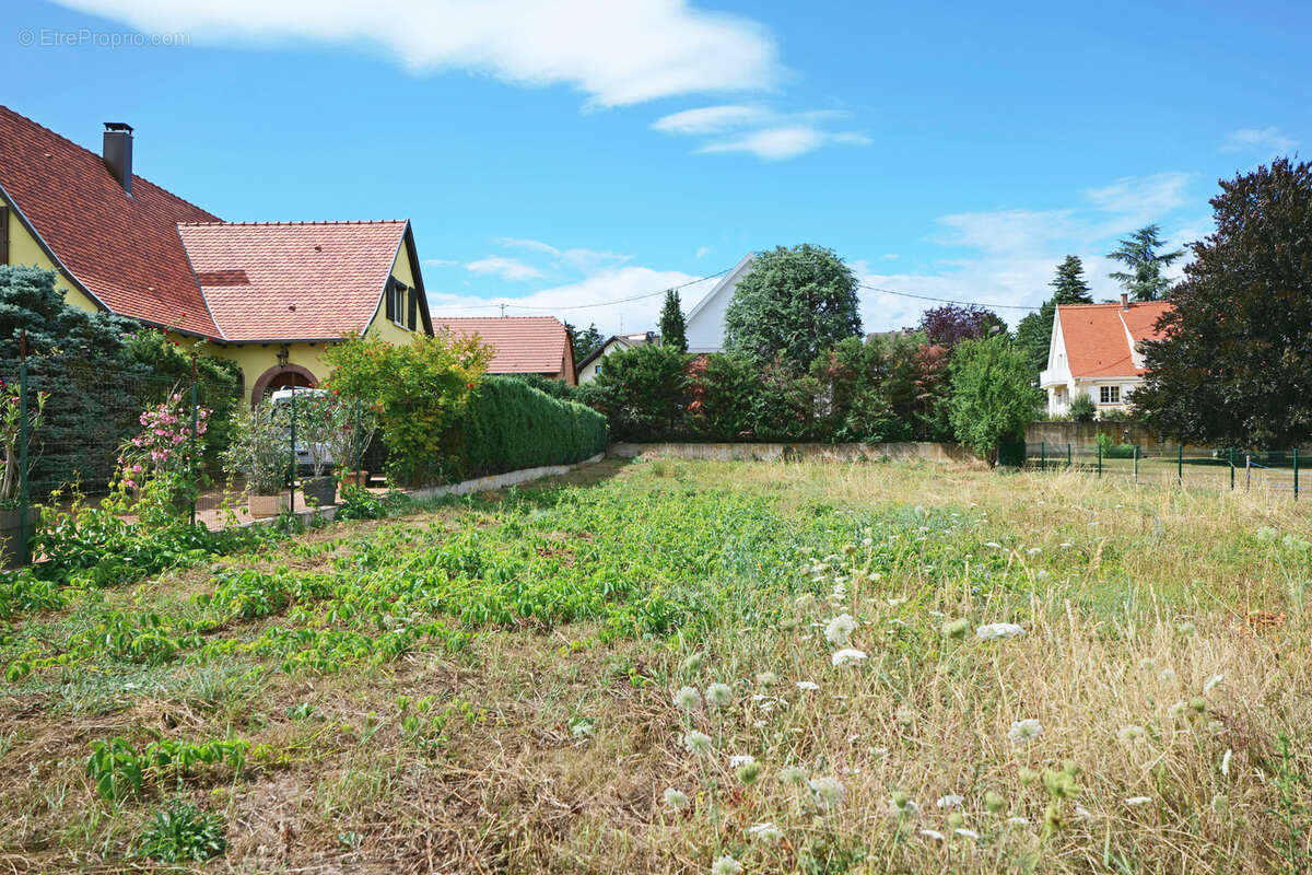 Terrain à MOLSHEIM