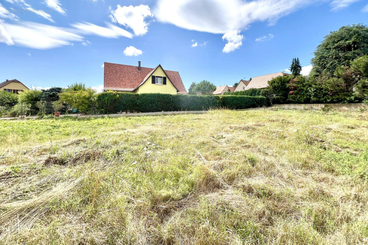 Terrain à MOLSHEIM
