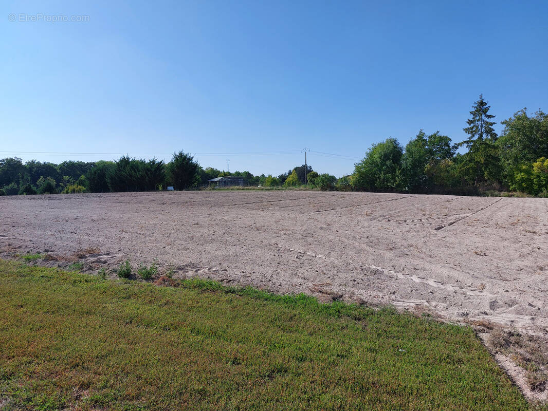 Terrain à SAINT-HILAIRE-AU-TEMPLE