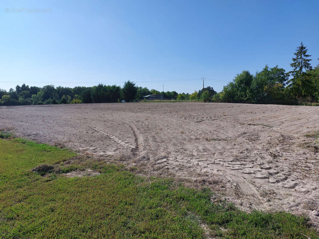 Terrain à SAINT-HILAIRE-AU-TEMPLE