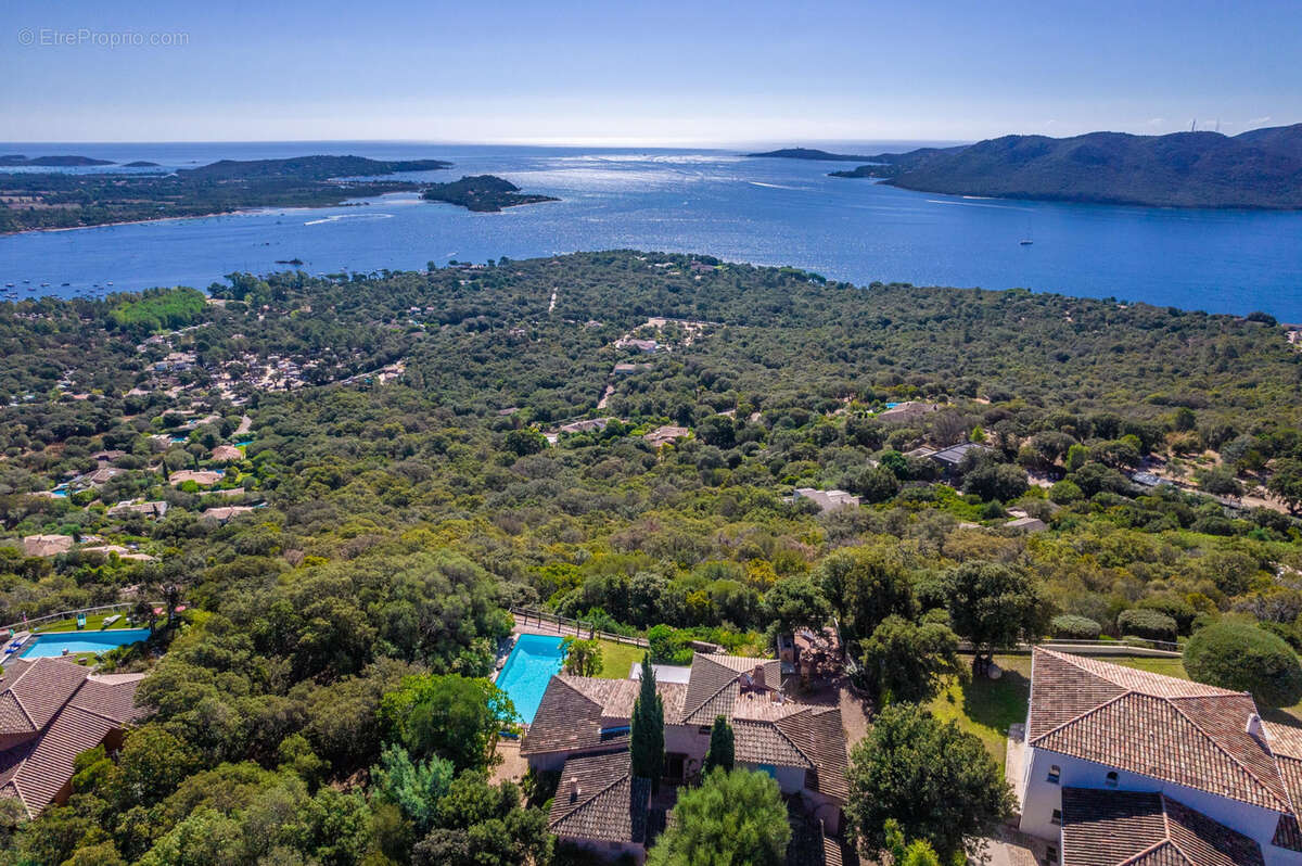 Maison à PORTO-VECCHIO